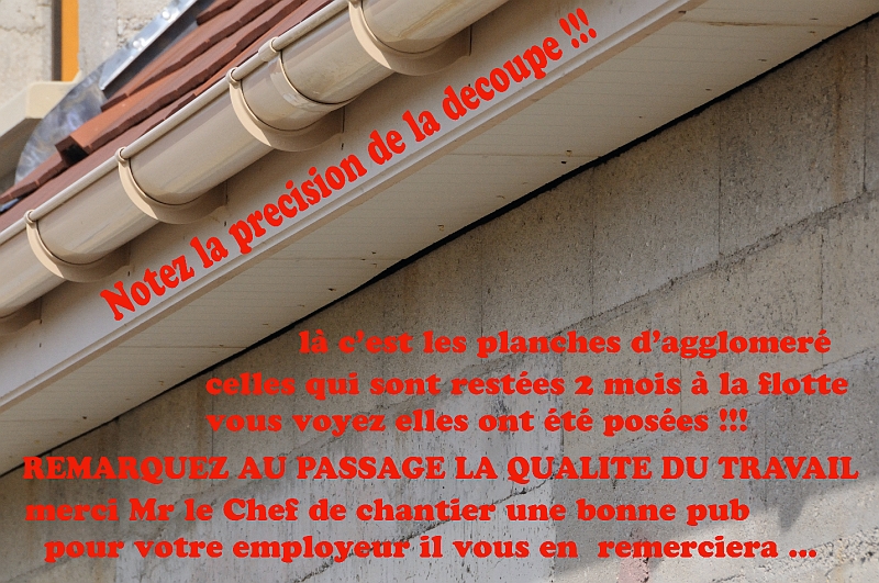 DSC_4064 copie.jpg